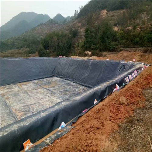 您了解魚塘防滲膜施工方法有哪些嗎？